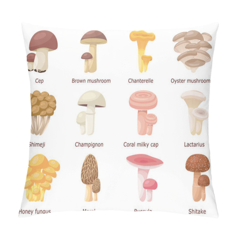 Personality  Set Of A Variety Of Different Edible Mushrooms Pillow Covers