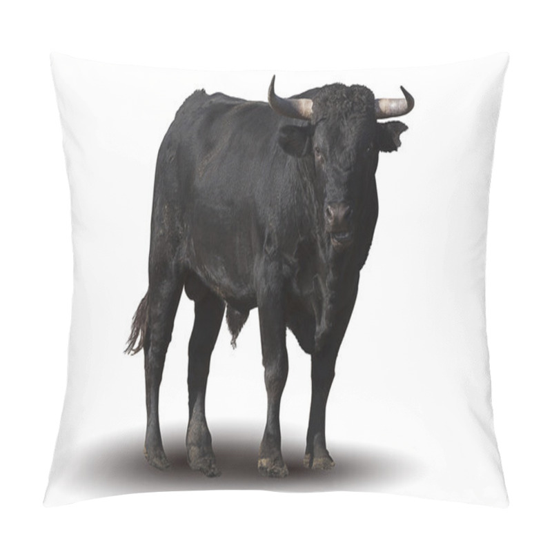 Personality  Spanish Black Bull Pillow Covers