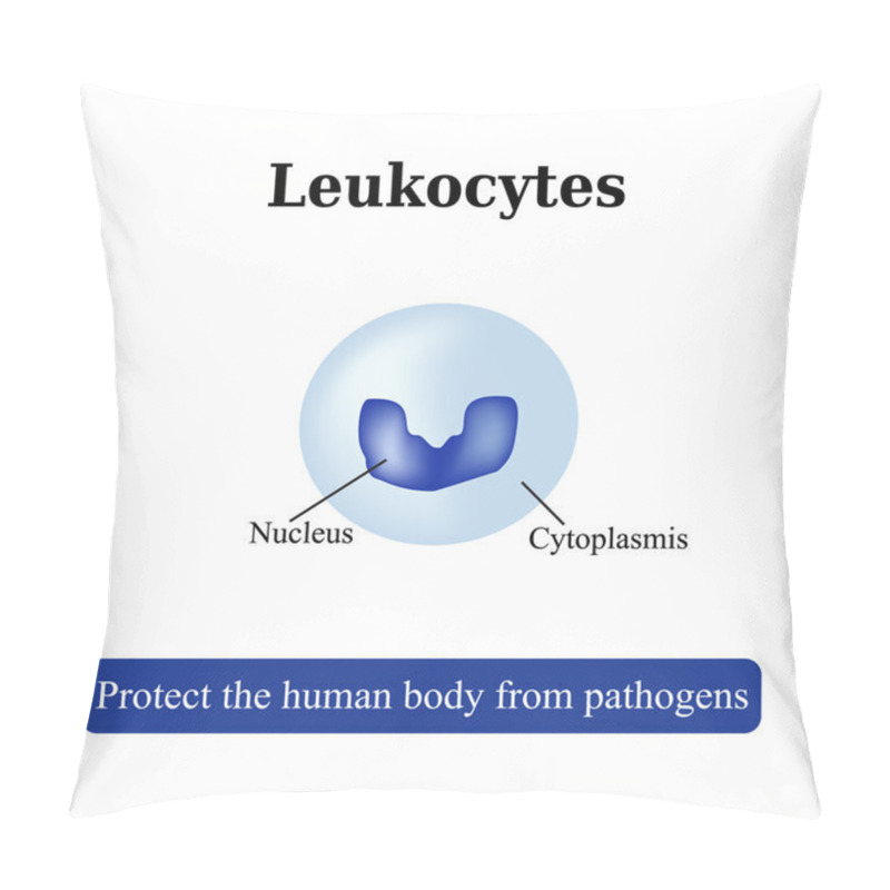 Personality  The Structure Of The White Blood Cells. Leukocyte. Vector Illustration Pillow Covers