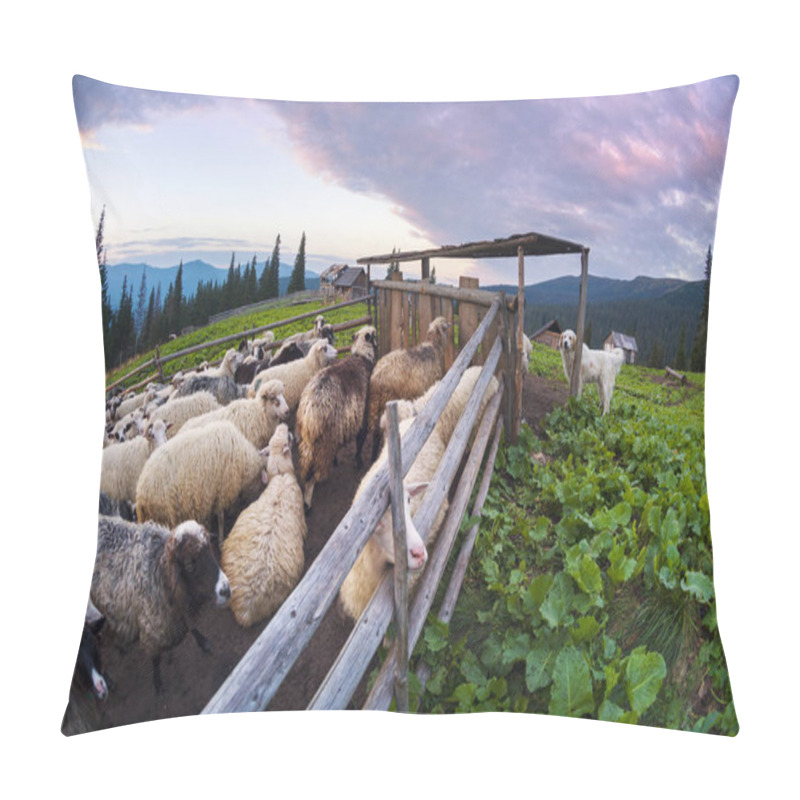 Personality  Sheep In The Paddock And Sheepdog Pillow Covers