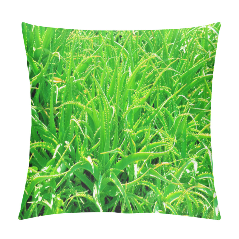 Personality  Aloe Vera Pillow Covers