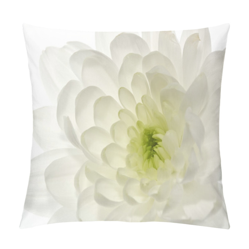 Personality  White Chrysanthemum Flower Pillow Covers