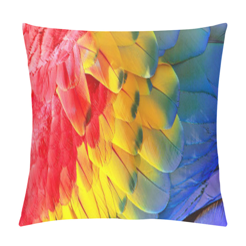 Personality  Parrot Feathers, Red, Yellow And Blue Exotic Texture Pillow Covers