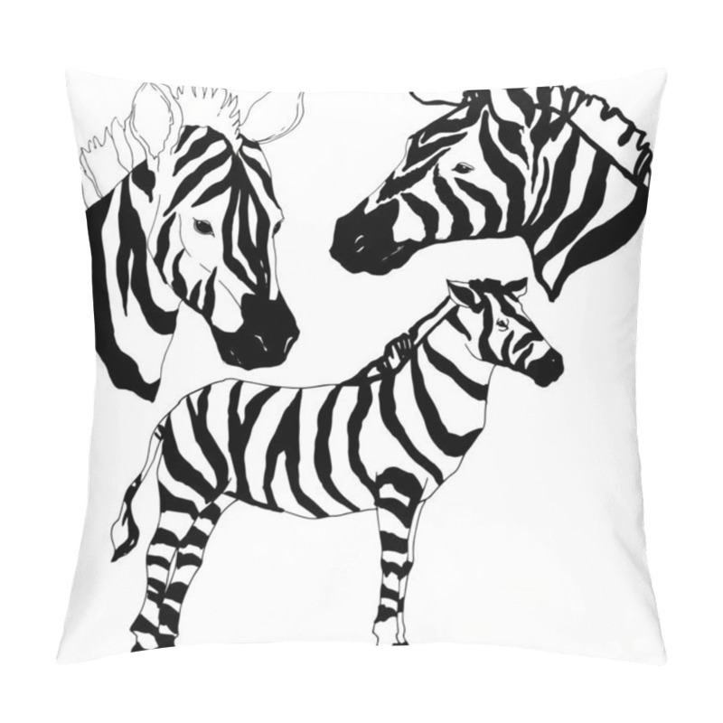 Personality  Vector Exotic Zebra Wild Animal Isolated. Black And White Engraved Ink Art. Isolated Animal Illustration Element. Pillow Covers