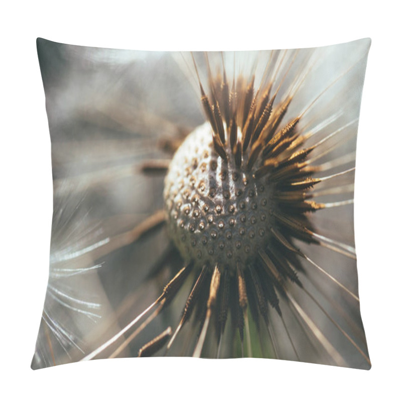 Personality  Fluffy Faded Fragile Field Dandelion. Summer Macrophotography Pillow Covers