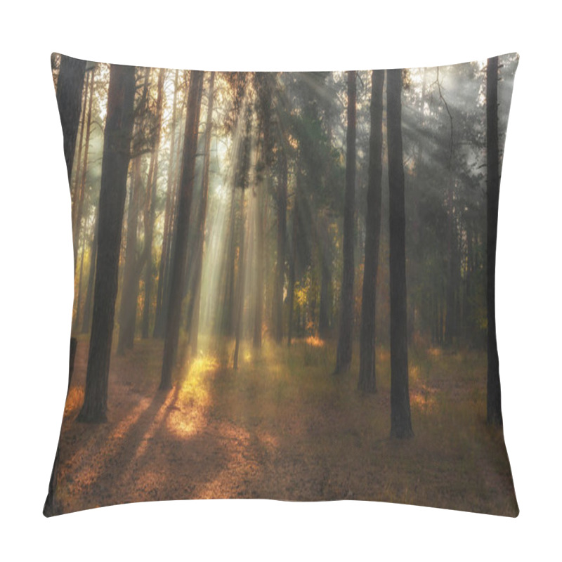 Personality  Beautiful Autumn Morning. Sun Rays Penetrate The Branches Of Trees. Nice Walk In The Forest. Pillow Covers