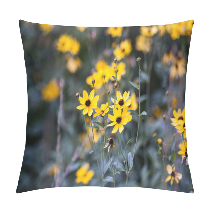 Personality  Helianthus Salicifolius Blooming In The Garden. Blurred Background Pillow Covers