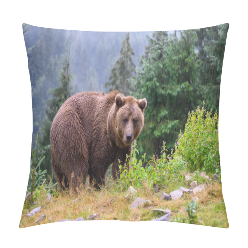 Personality  Wild Adult Brown Bear (Ursus Arctos) In The Mountain Summer Forest Pillow Covers