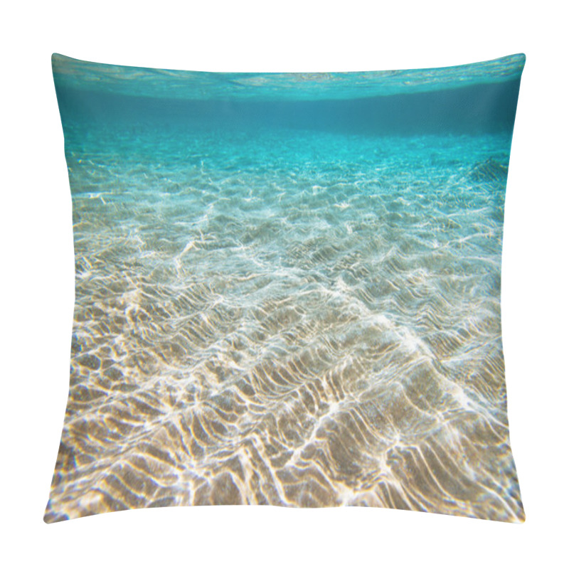 Personality  Tranquil Underwater Scene Pillow Covers