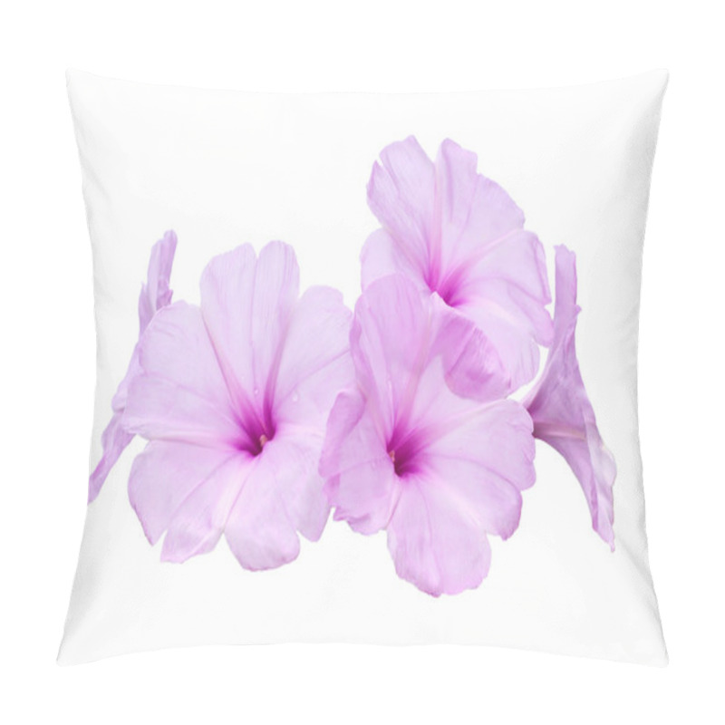 Personality  Pink Morning Glory Flowers  Pillow Covers