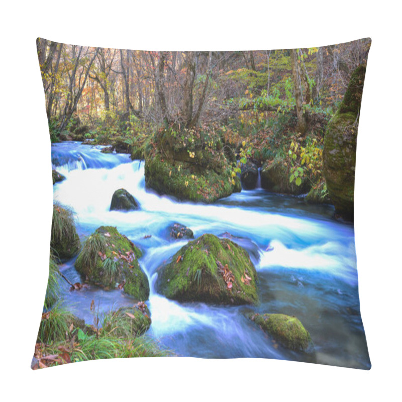 Personality  Oirase Stream In Sunny Day, Beautiful Fall Foliage Pillow Covers