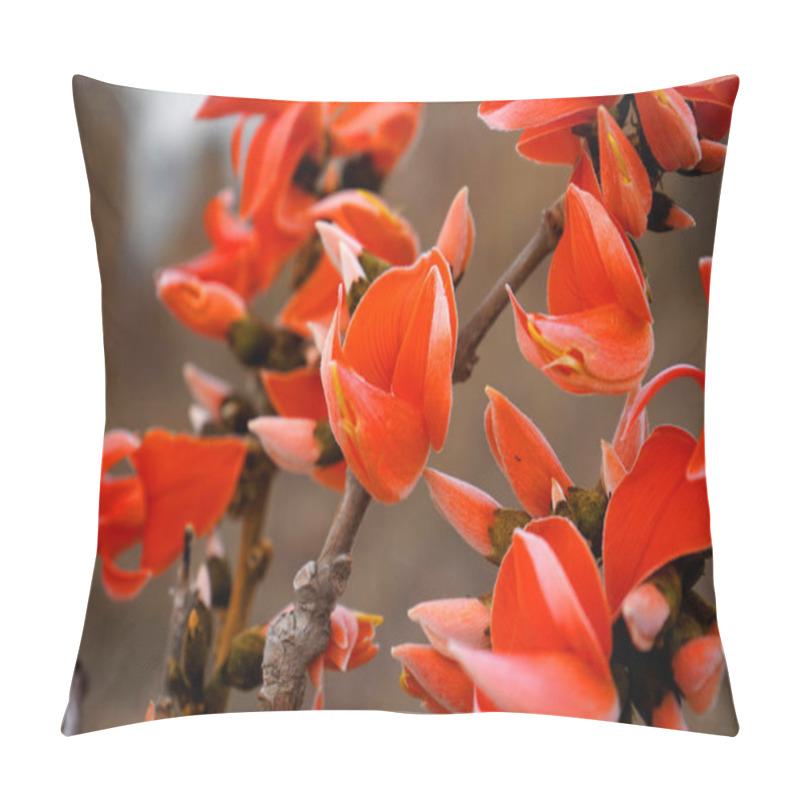 Personality  Butea Monosperma Or Palash Flower Pillow Covers