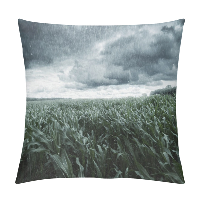 Personality  Green Maize Field In Front Of Dramatic Clouds And Rain Pillow Covers