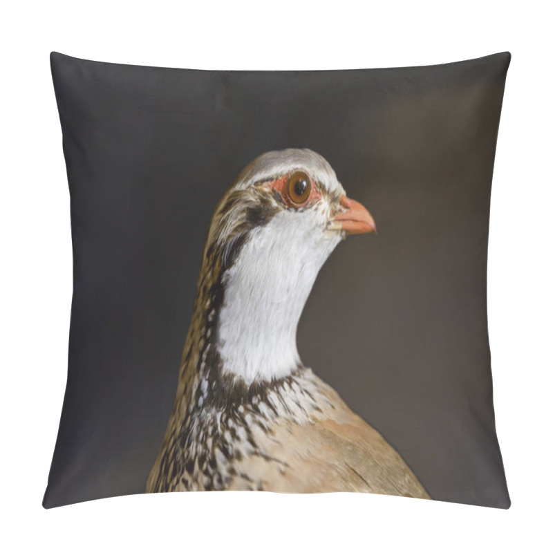 Personality  Close-Up Of A Taxidermy Partridge With Red Eye And Detailed Feathers In Studio Lighting Pillow Covers