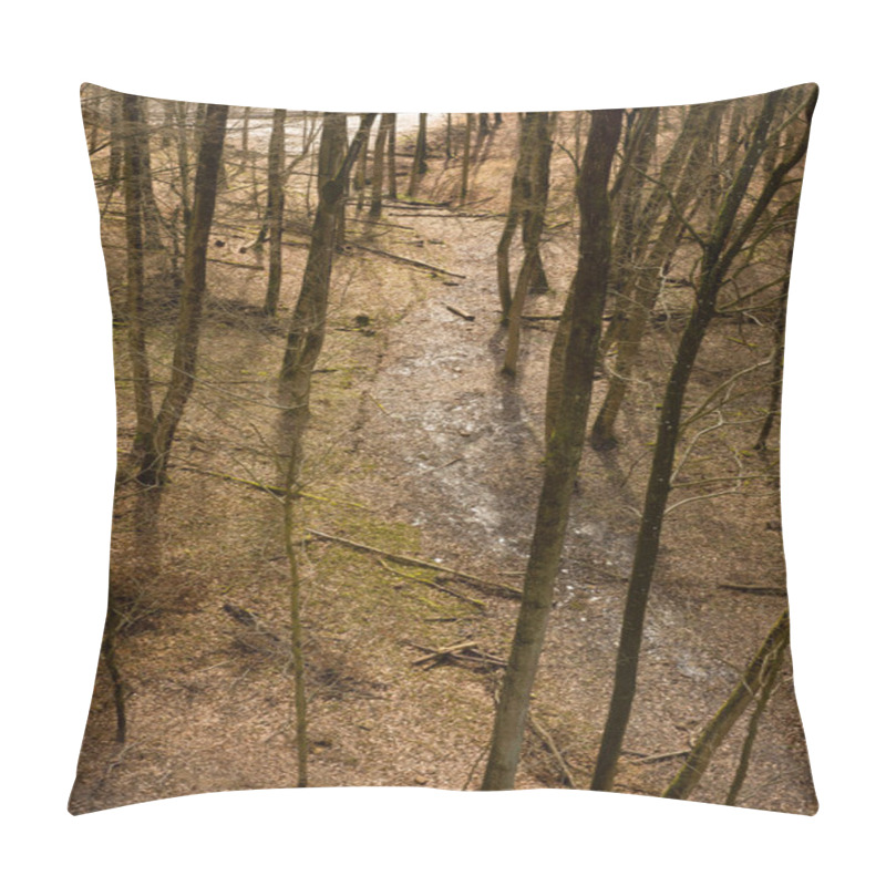 Personality  View From Above On The Wintry Forest Floor Pillow Covers