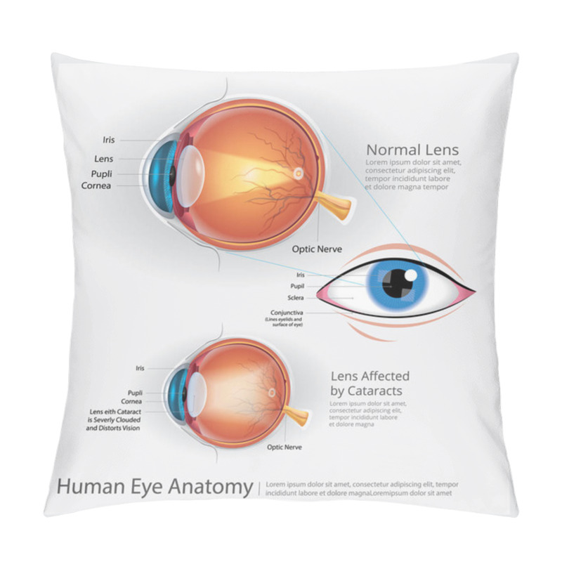 Personality  Human Eye Anatomy Vector Illustration Pillow Covers