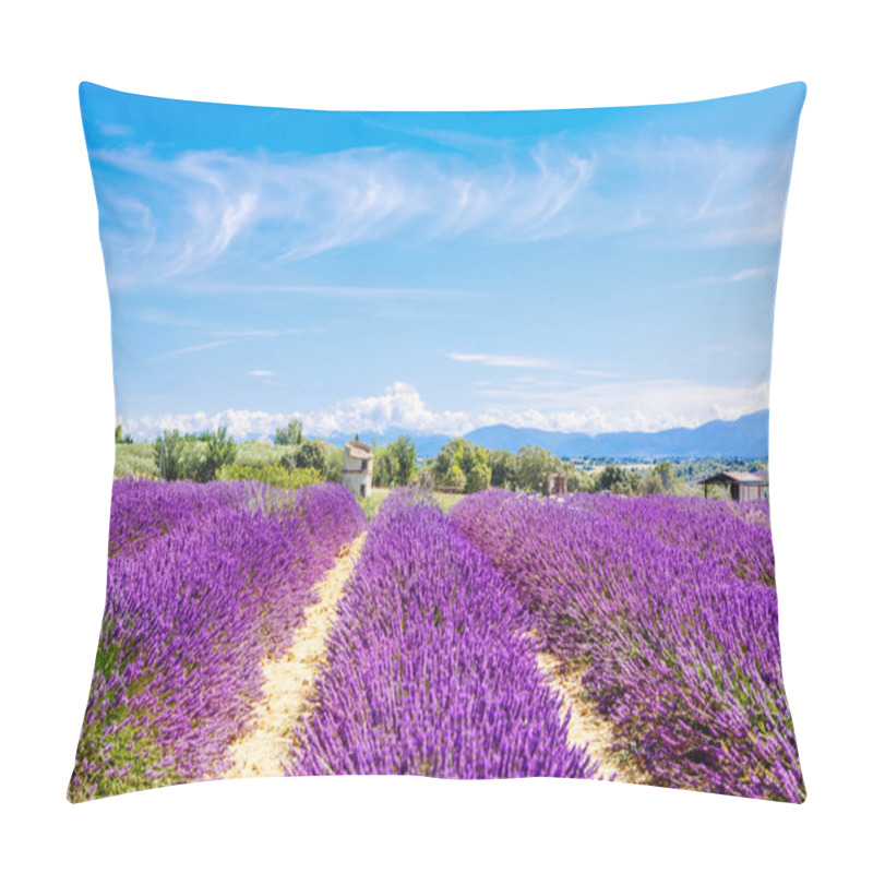 Personality  Blossoming Lavender Fields In Provence, France. Pillow Covers