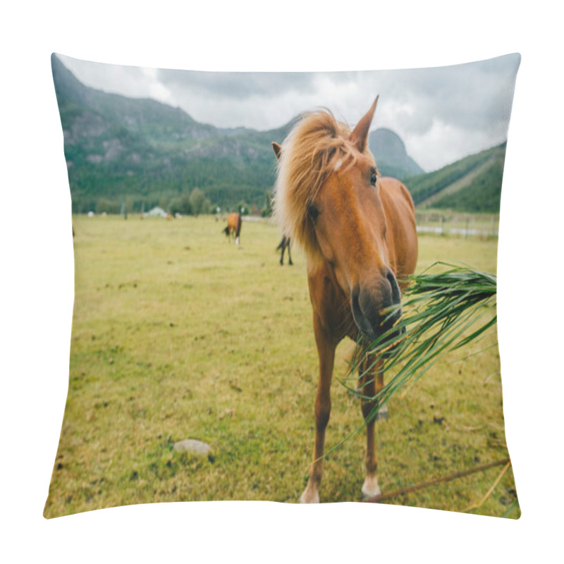 Personality  Wildlife In Norway. Scandinavian Fjord Beautiful Horses On Pasture Eat Grass On Field In Summer Rainy Weather. Cloudy Sky. Mountains On Background. Rocks. Funny Mammal Animals. Rural. Travel. Nature. Pillow Covers