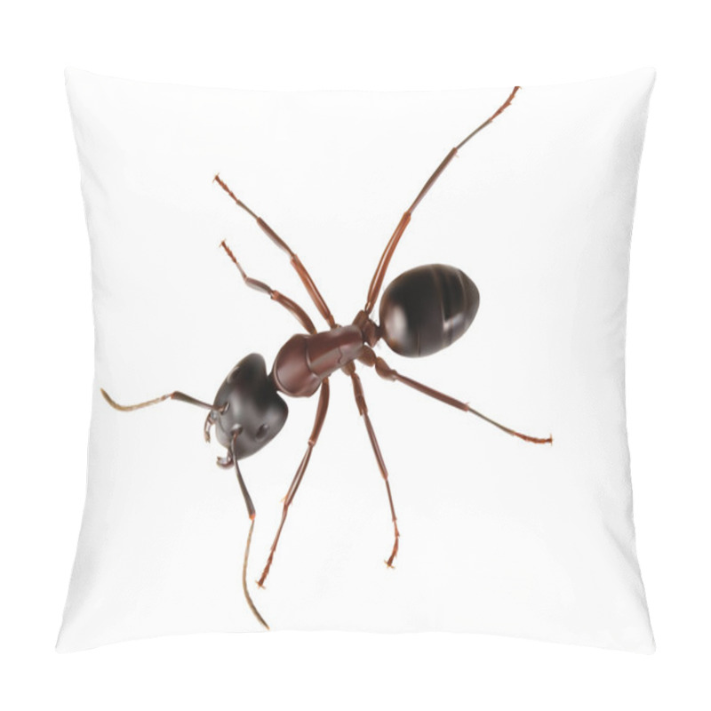 Personality  Illustration Of Ant Pillow Covers