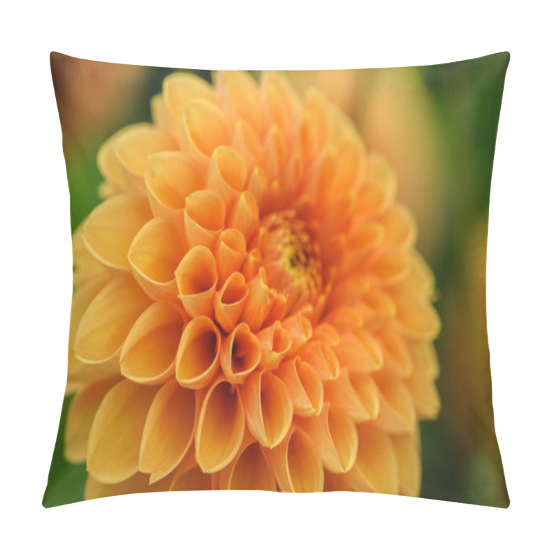 Personality  Orange Dahlia Macro Pillow Covers