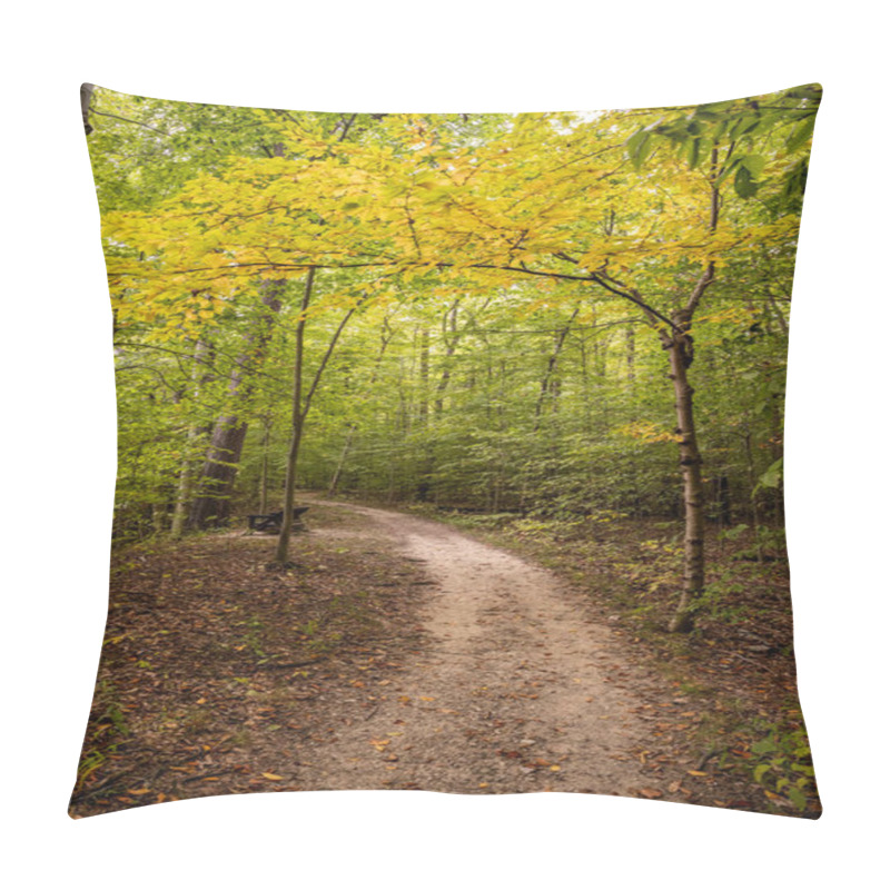 Personality  Small Yellow Tree Hangs Over Trail In Forest In Cuyahoga Valley National Park Pillow Covers