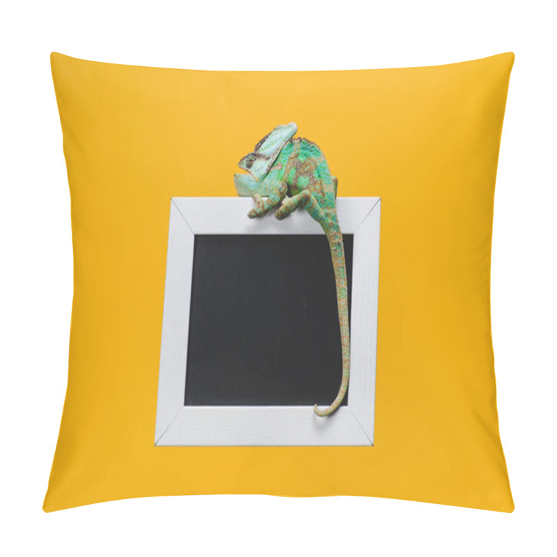 Personality  Beautiful Bright Green Chameleon On Blackboard In White Frame Isolated On Yellow Pillow Covers