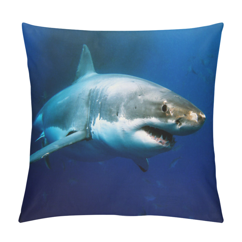 Personality  Great White Shark Pillow Covers