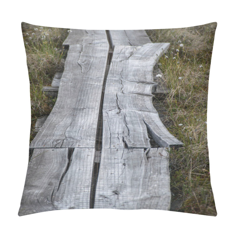 Personality  Bog Forest Natural Background. Swamp Vegetation, Wooden Footbridges In The Swamp, Wild Vegetation, Niedraju Pilkas Swamp, Latvia Pillow Covers