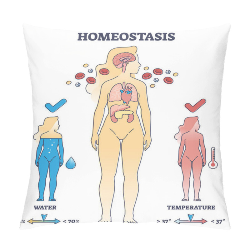 Personality  Homeostasis State With Body Temperature And Water Regulation Outline Diagram Pillow Covers