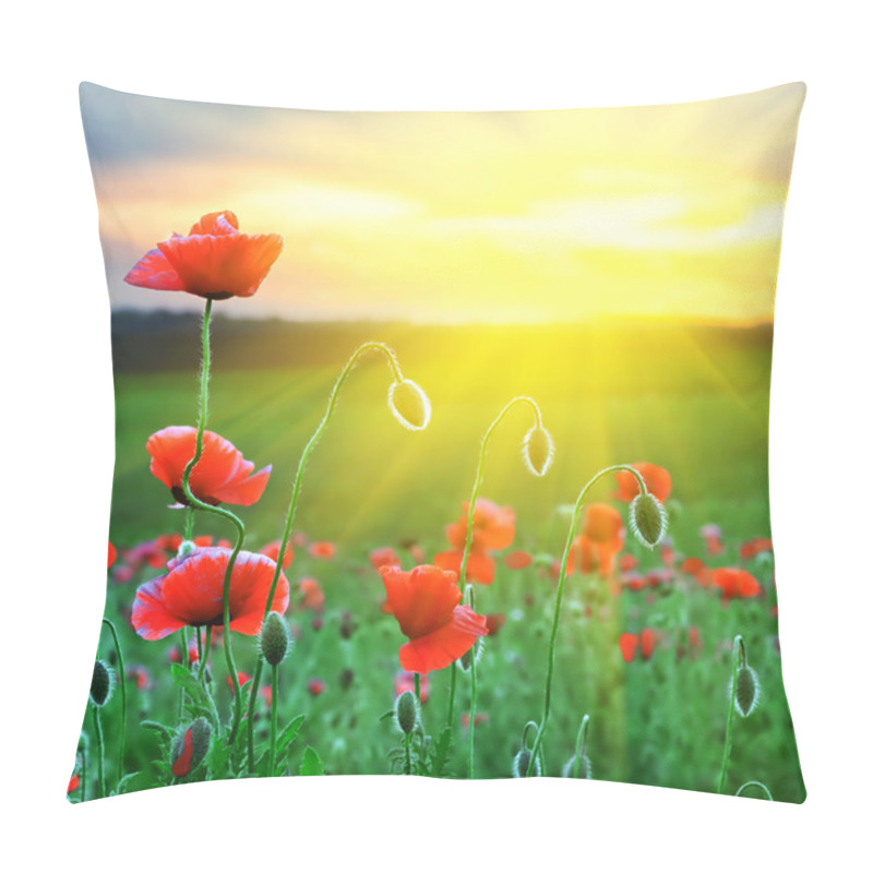 Personality  Poppy Field Pillow Covers