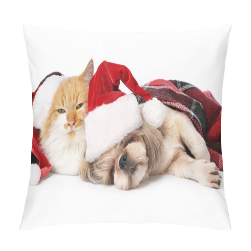 Personality  Cute Cat And Dog In Santa Hats And With Warm Plaid On White Background Pillow Covers