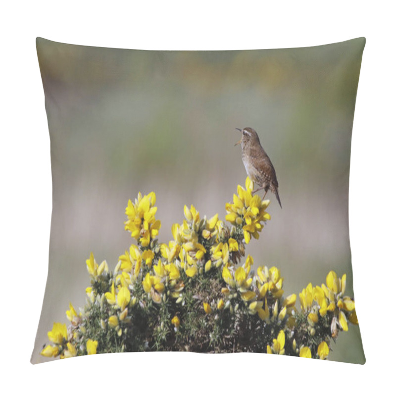 Personality  Wren Singing From A Gorse Bush In Spring Sunshine Pillow Covers