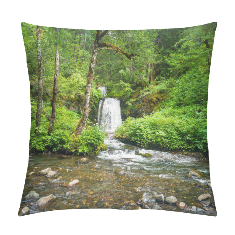 Personality  Breathtaking Two Tiered Twin Falls In A Lush Rainforest Setting With Rocks And Boulders And Clean Mountain Water Cascading In The Gifford Pinchot National Forest Skamania County Washington State Pillow Covers