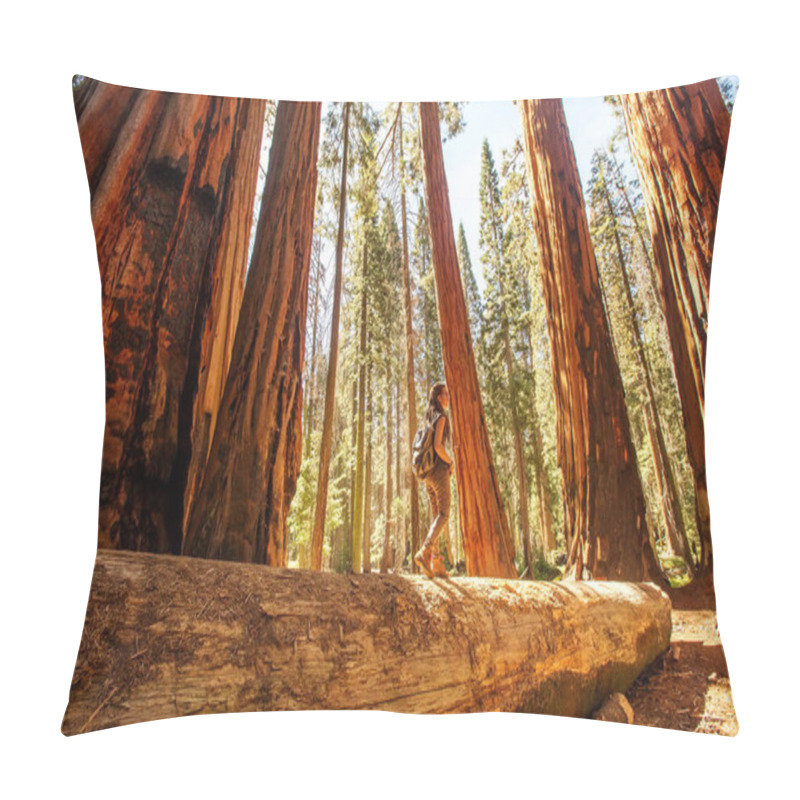 Personality  Hiker In Sequoia National Park In California, USA Pillow Covers