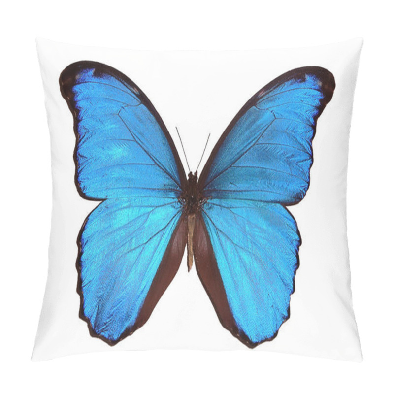 Personality  Exotic Insects (butterflies, Beetles, Spiders, Scorpions) Isolated On White Background. Beautiful Exotic Blue Butterfly Isolated On A White Background. 2020 Trend Color Pillow Covers