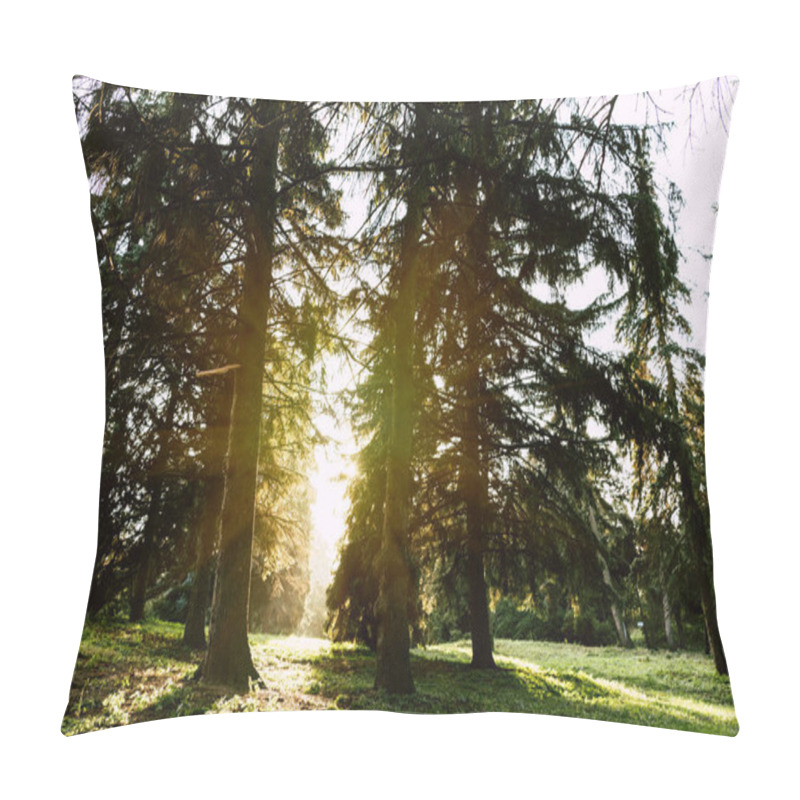 Personality  Sunrise In Autumn Forest Pillow Covers