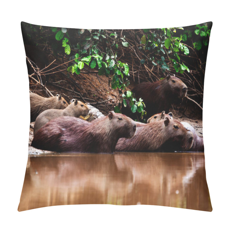 Personality  Closeup Portrait Of Capybara Family (Hydrochoerus Hydrochaeris) Sitting Along The Riverbank Half Submerged In Water In The Pampas Del Yacuma, Bolivia. Pillow Covers