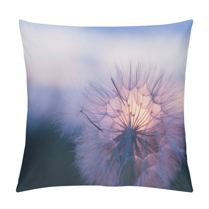 Personality  Silhouette Of Fluffy Dandelion Flower On Sunset Sky Pillow Covers