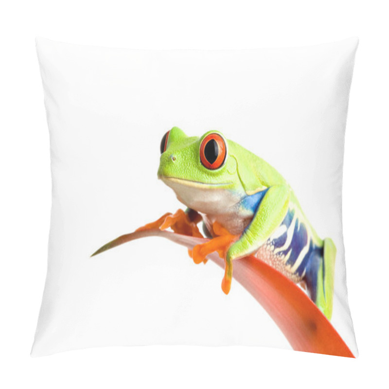 Personality  Frog On Guzmania Pillow Covers