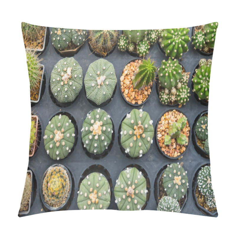 Personality  This Showcase Features Resilient Cacti That Thrive In Arid Conditions, Perfect For Those Who Appreciate Low-maintenance Plants. Pillow Covers