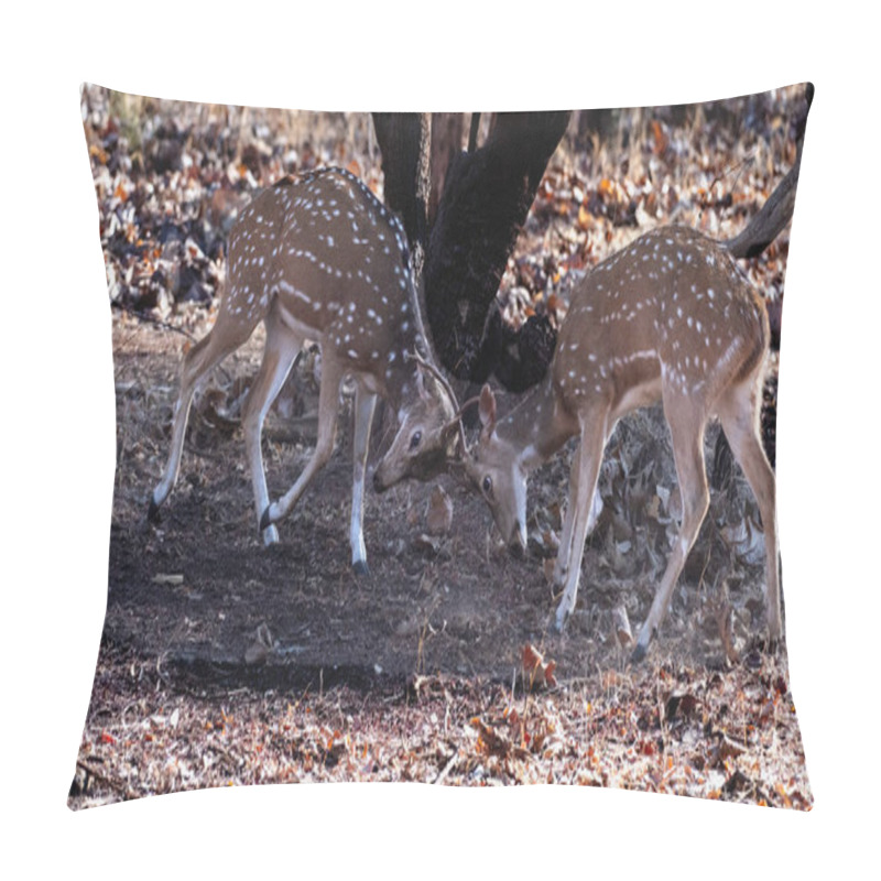 Personality  Spotted Deer Are Known For Their Distinctive White Spots On A Reddish-brown Coat. They Are Native To South Asia And Are A Common Sight In Grasslands. Pillow Covers