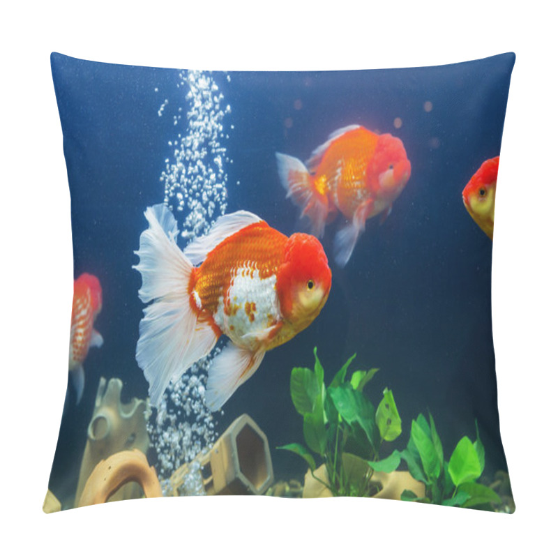 Personality  Goldfish In Aquarium With Green Plants Pillow Covers