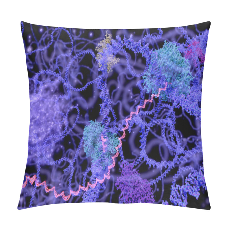 Personality  View Of The Cell Nucleus In The Interphase (DNA, MRNA, Nucleolus And Several Enzymes). Illustration Pillow Covers