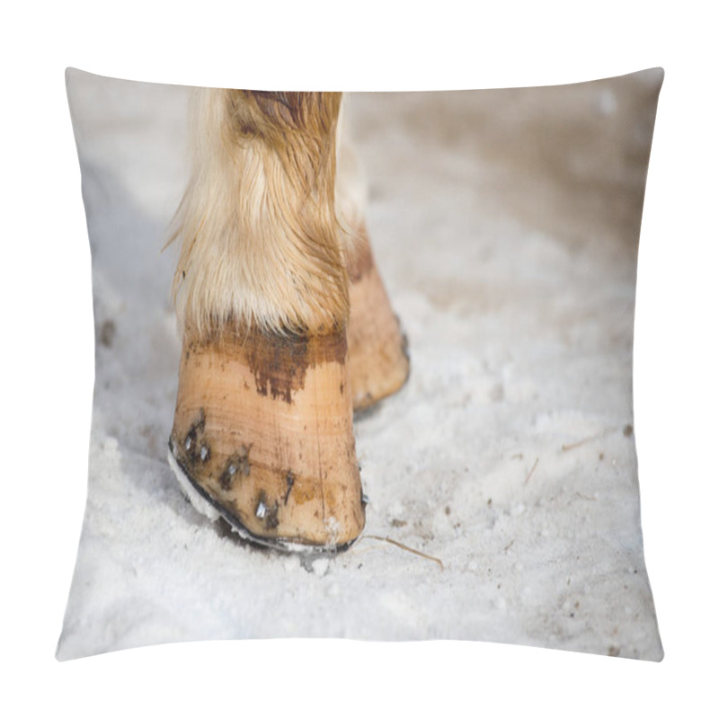 Personality  Closeup Photograph Of Horse Legs As They Stand In The Crisp Winter Snow Pillow Covers