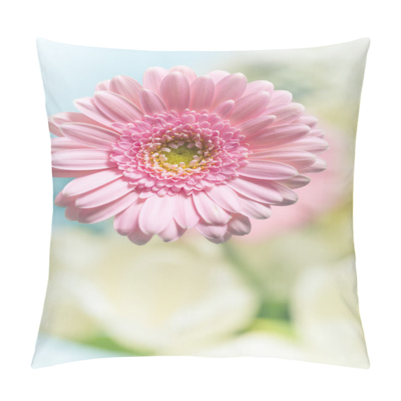 Personality  Gerber Daisy Pillow Covers