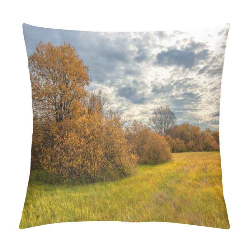 Personality  Picturesque View Of Outdoor Scene In Daylight Pillow Covers