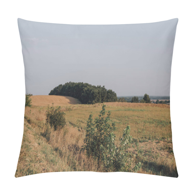 Personality  Scenic View With Rural Field And Trees During Daytime  Pillow Covers