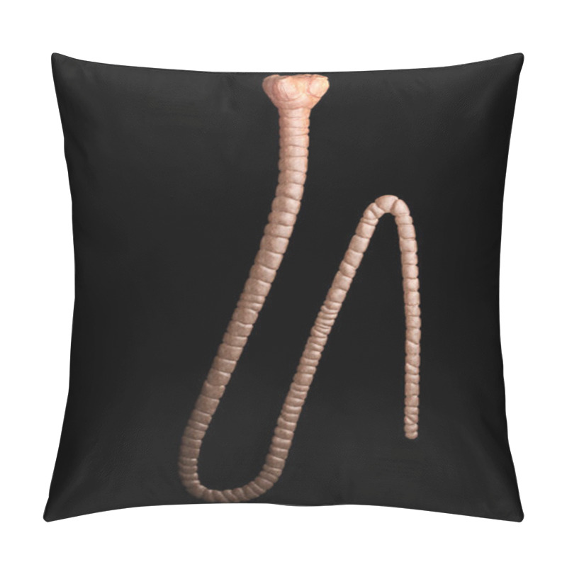 Personality  Cattle Tapeworm - Detailed Taenia Saginata Under The Microscope -- 3d Rendering Pillow Covers