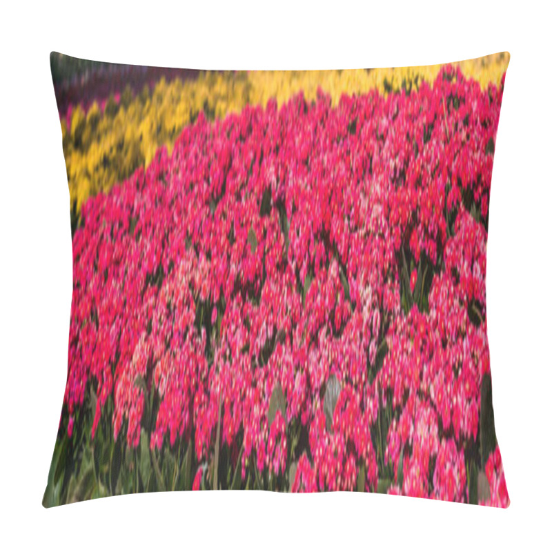 Personality  Kalanchoe Blossfeldiana (Flaming Katy, Christmas Kalanchoe, Flor Pillow Covers