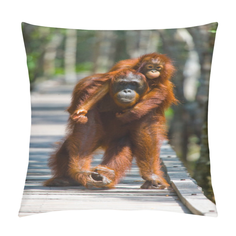 Personality  Mother Orangutan With Cub Pillow Covers